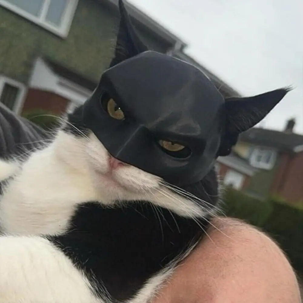 Cats Bat Mask