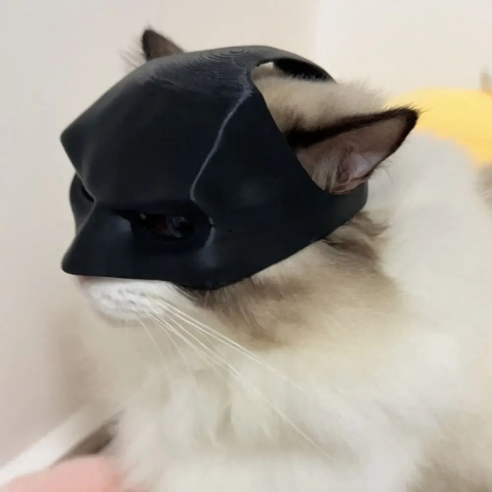 Cats Bat Mask