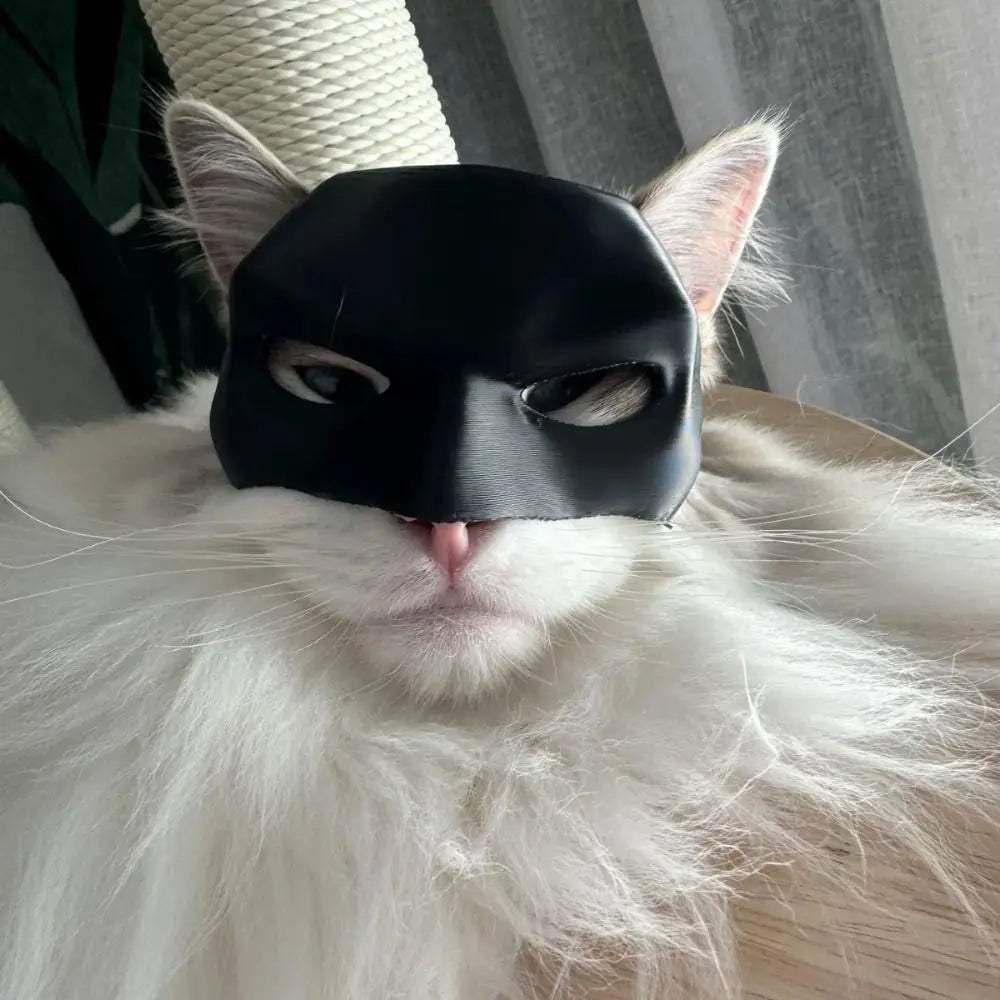 Cats Bat Mask